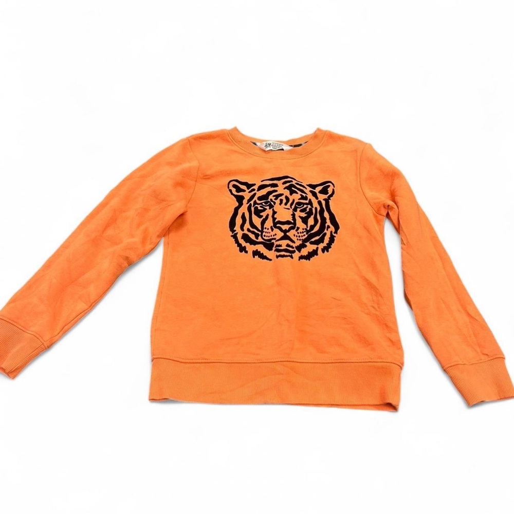 Orange Tiger Print Boys Sweater